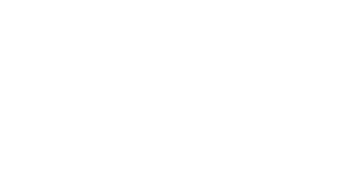 The present