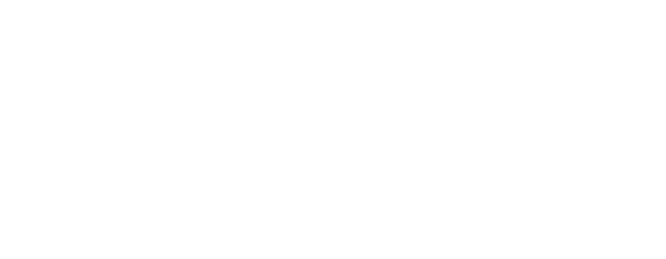 Government