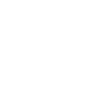  There is a societal need for a fast, flexible, and efficient transport solution.