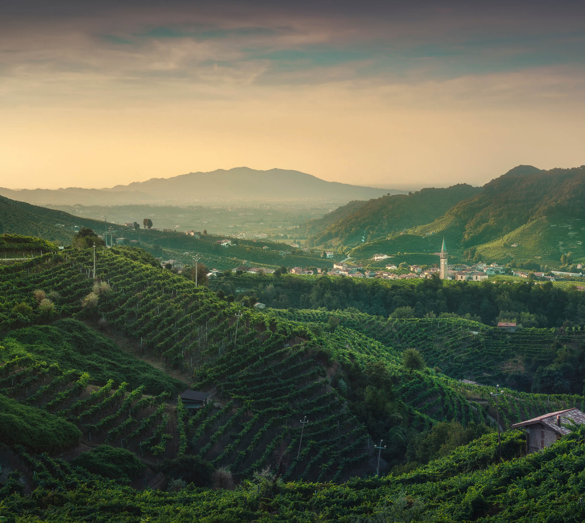 Prosecco Hills, vineyards and Guia village at sunrise. Unesco Site. Valdobbiadene, Treviso, Veneto, Italy, Europe.